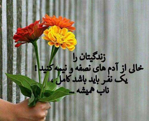 عکس پروفایل اموزنده تیکه دار