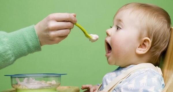 عکس پروفایل برای حیوانات