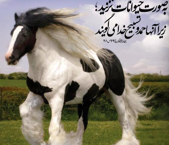 عکس پروفایل برای حیوانات