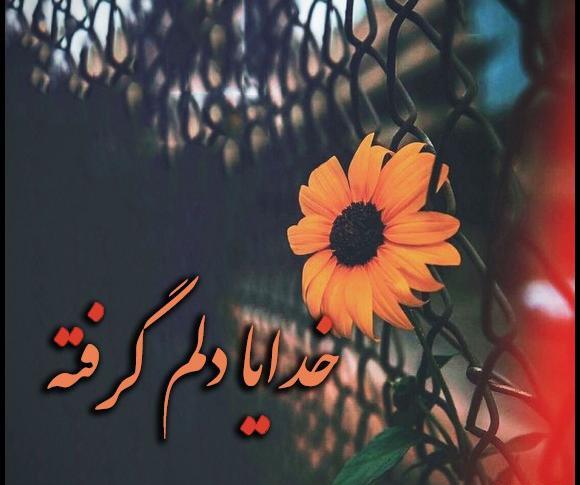 عکس پروفایل خدایا دلم گرفته تو دلگشایی کن