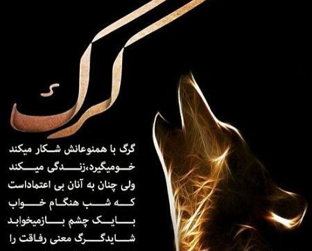 عکس پروفایل جدید امسال گرگ