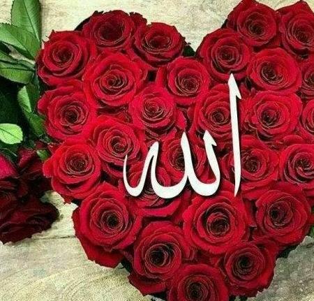 عکس پروفایل خدا و گل