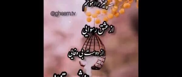 نیش دار عکس پروفایل تیکه انداختن
