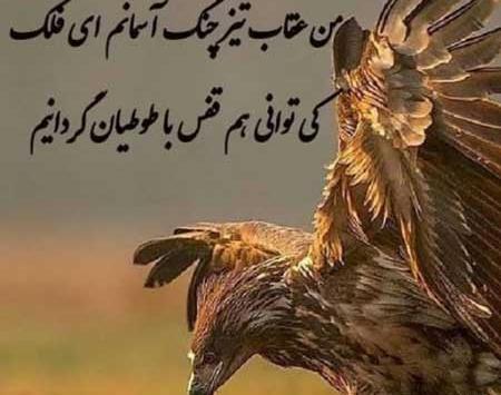 عکس پروفایل حیوانات با نوشته