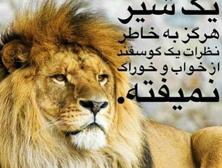 عکس پروفایل حیوانات با نوشته