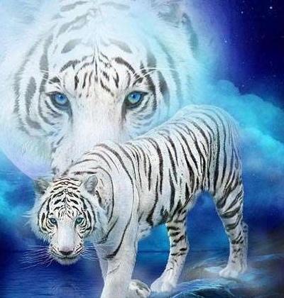 عکس پروفایل حیوانات با نوشته