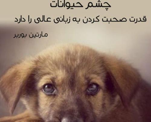 عکس پروفایل در مورد حیوانات