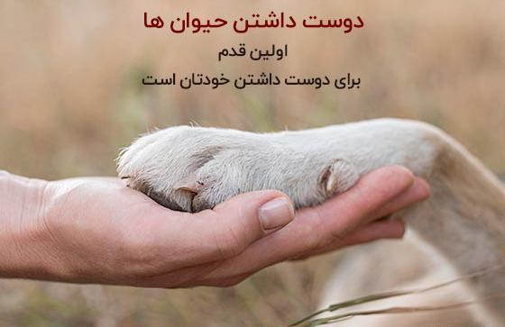 عکس پروفایل در مورد حیوانات