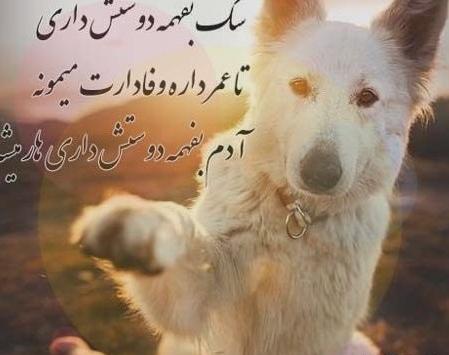 عکس پروفایل در مورد حیوانات