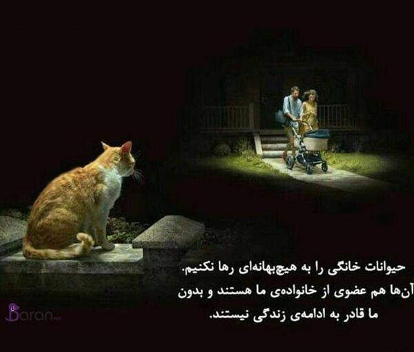 عکس پروفایل در مورد حیوانات