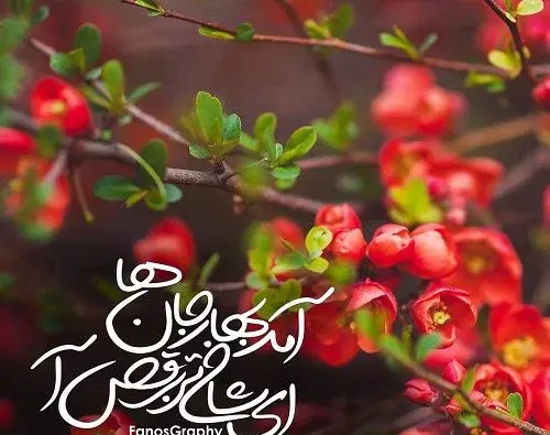 عکس پروفایل در مورد بهار