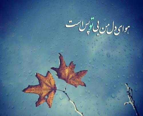 عکس پروفایل تا خدا هست غمی نیست