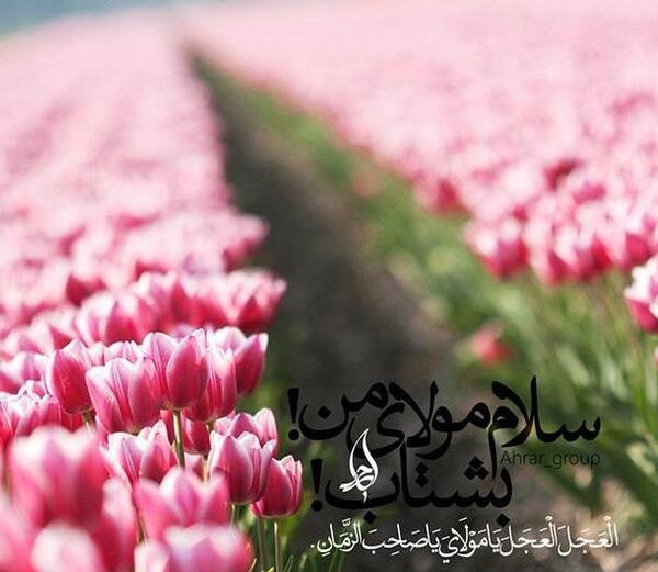 عکس پروفایل تسلیت به امام زمان