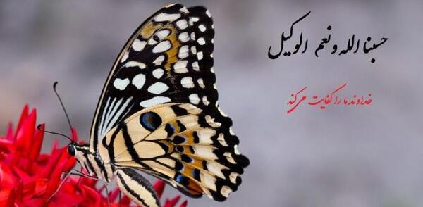 بهترین عکس پروفایل حسبی الله