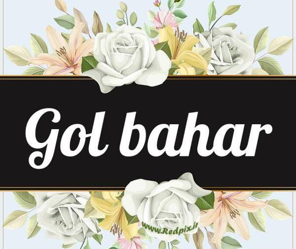 عکس پروفایل گل بهار