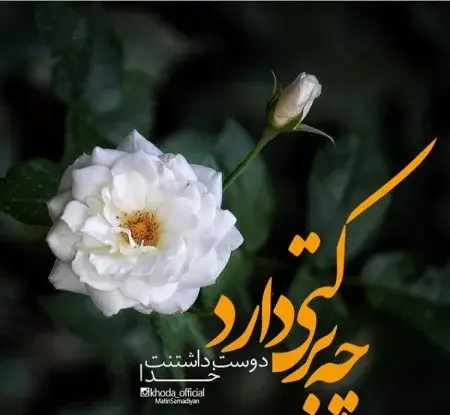 عکس پروفایل خدایا خودت رحم کن