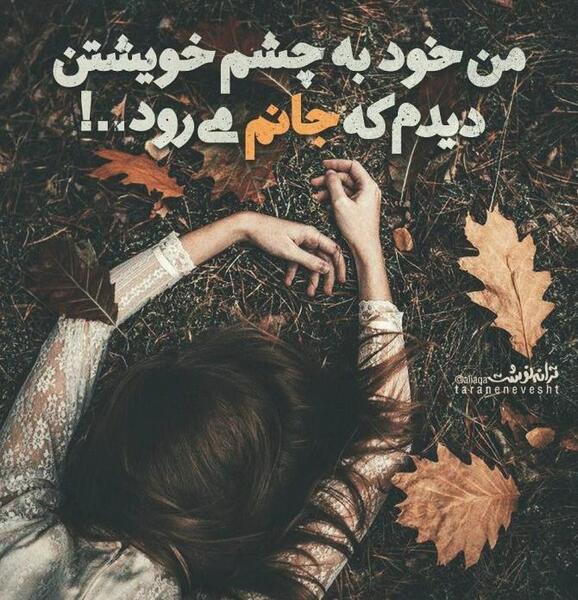 عکس پروفایل من به چشم خویشتن دیدم که جانم میرود