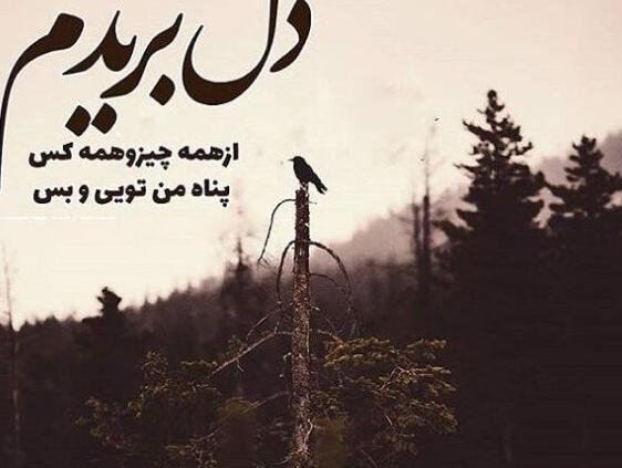 عکس پروفایل خدا پناهم باش