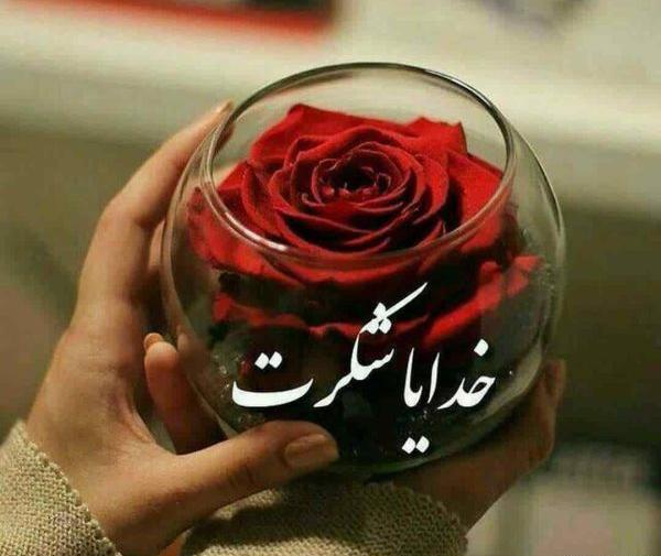 عکس پروفایل ستایش خدا