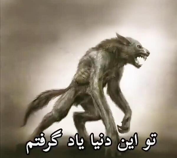 عکس پروفایل بی وفایی رفیق