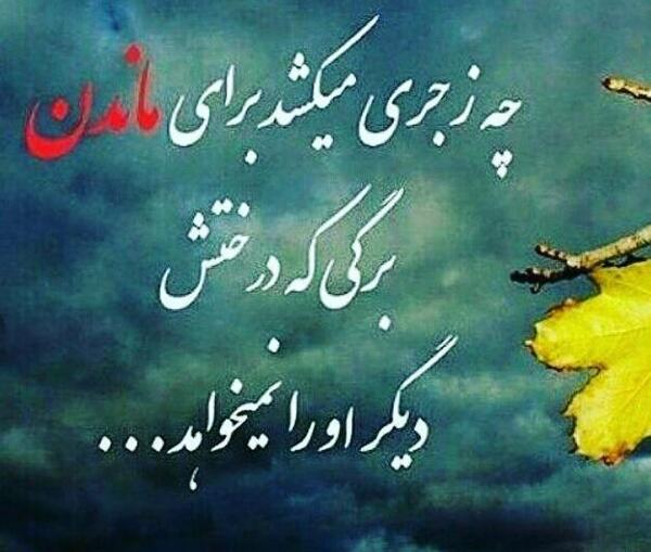 عکس پروفایل باید از سمت خدا معجزه نازل بشود