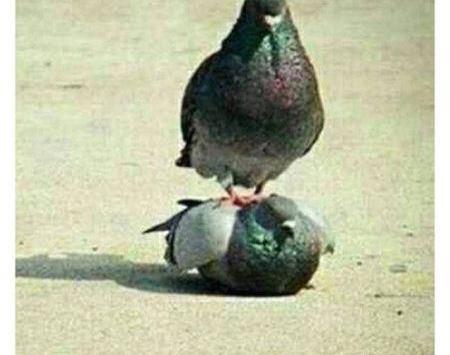 عکس خنده دار جالب برای پروفایل