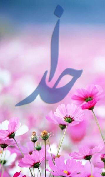 عکس پروفایل کلمه خدا
