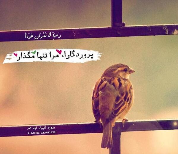 عکس پروفایل خدایا تنهام نزار