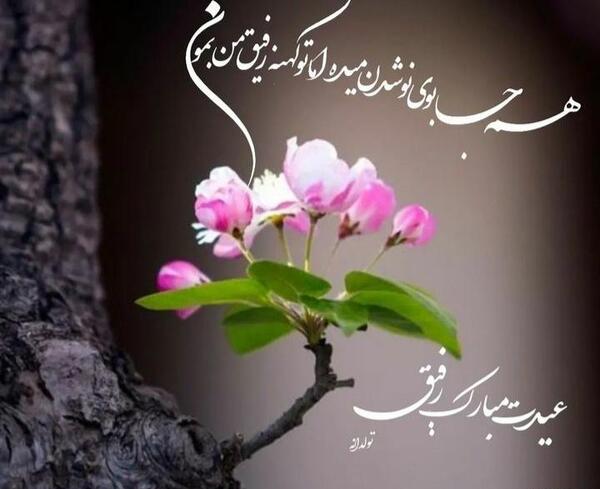 عکس پروفایل عیدت مبارک رفیق