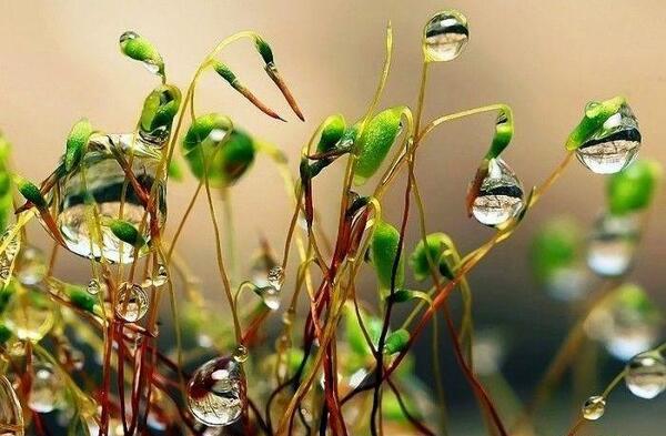 عکس پروفایل دختر لبه پرتگاه