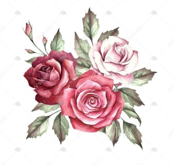 عکس پروفایل دختر لبه پرتگاه