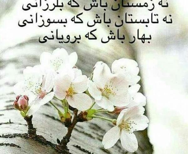 عکس پروفایل پسر ممنوع