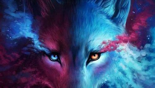 عکس حیوانات برای پروفایل واتساپ