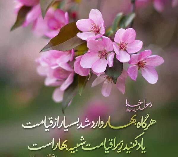 عکس پروفایل بهار امام زمان