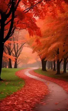 عکس پروفایل خدایا فرزندانم را به تو میسپارم
