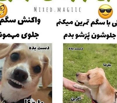 خنده دار ترین عکس پروفایل