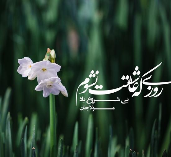 عکس پروفایل بهار مهدوی
