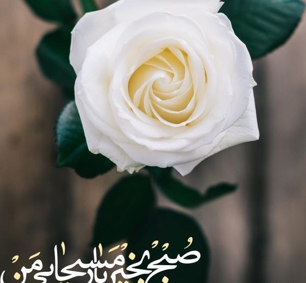 عکس پروفایل بهار مهدوی