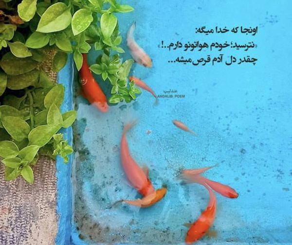عکس پروفایل خدا بدون متن