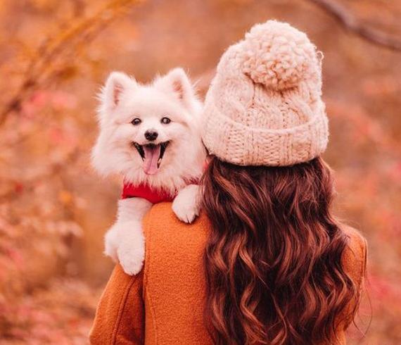 عکس پروفایل جدید امسال سگ