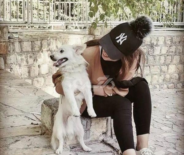 عکس پروفایل جدید امسال سگ