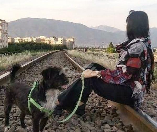عکس پروفایل جدید امسال سگ