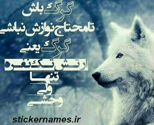 عکس پروفایل جدید امسال سگ