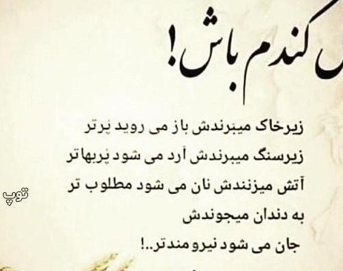 عکس پروفایل آدمهای بد ذات