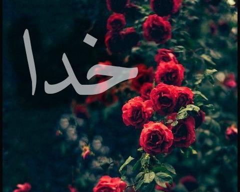 عکس پروفایل خدا با گل