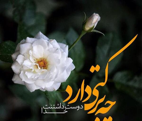 عکس پروفایل خدا با گل