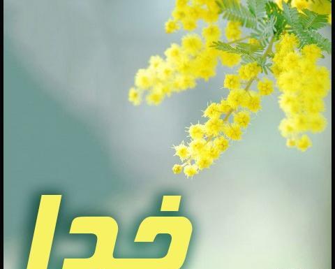 عکس پروفایل خدا با گل