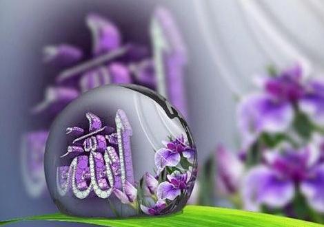 عکس پروفایل به اسم حسبی الله