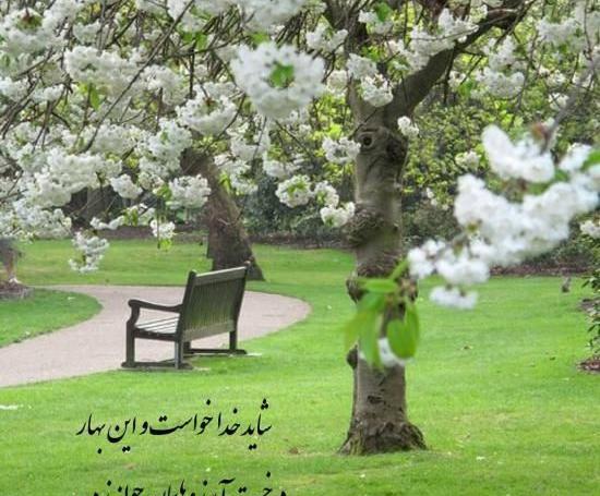 عکس پروفایل امدن بهار