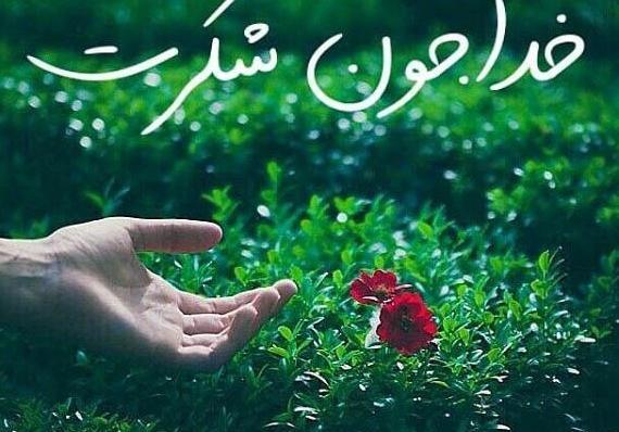 عکس پروفایل شکرانه خدا